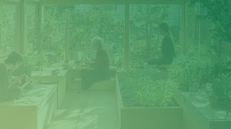 Cohousing senescente